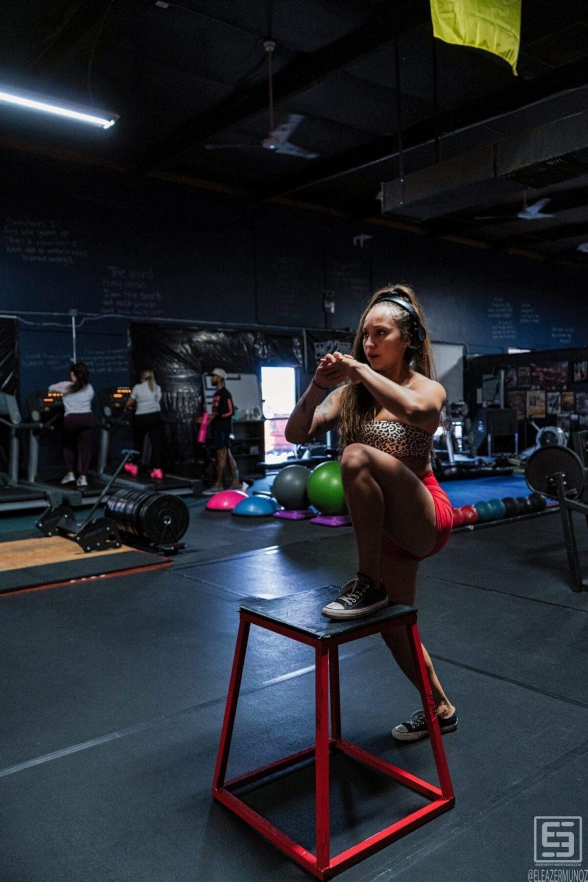 Danni lowers into a squat above a red plyometric box in a dark gym.