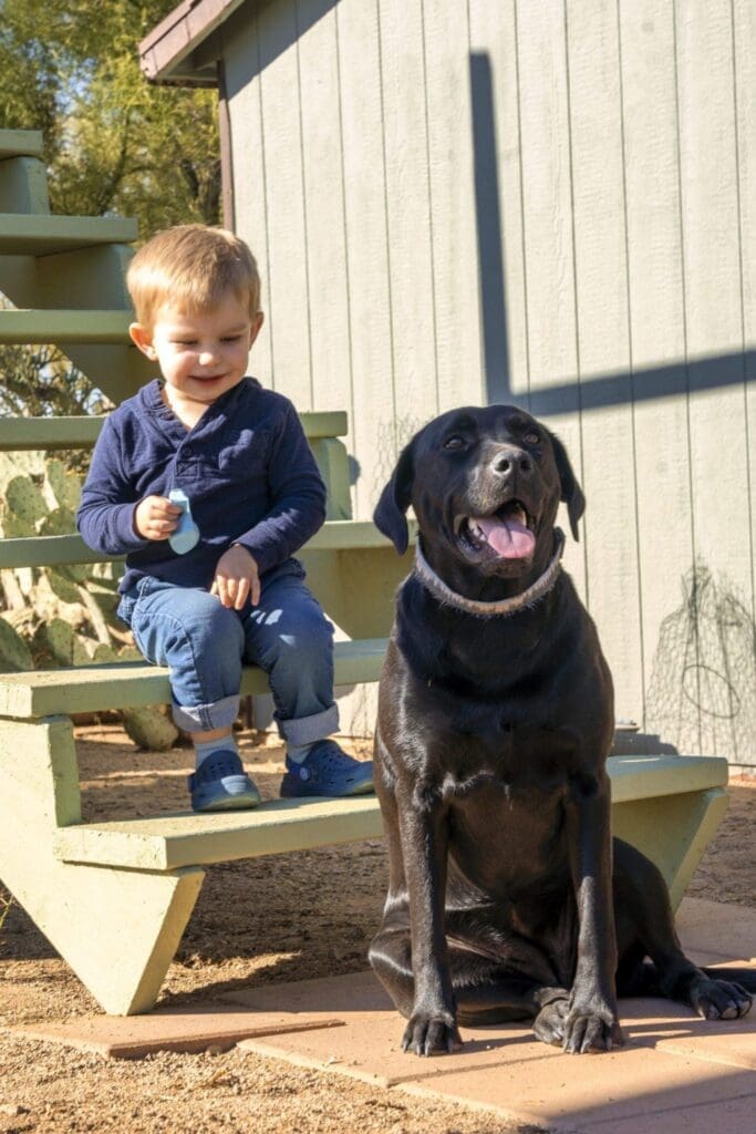 A young child sits on outdoor steps beside a seated black dog.
